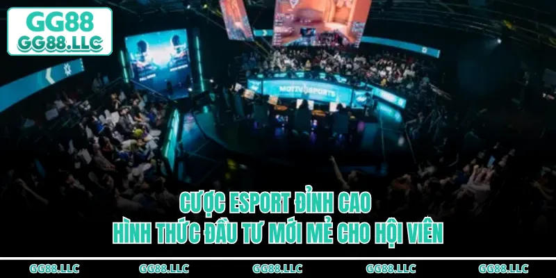 Cược Esport Đỉnh Cao - Hình Thức Đầu Tư Mới Mẻ Cho Hội Viên